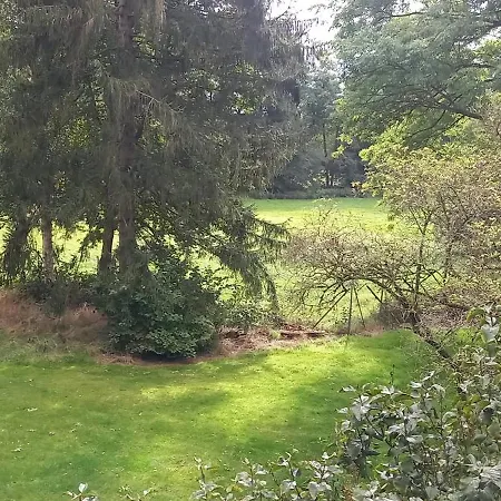 Kiwilodge 3*